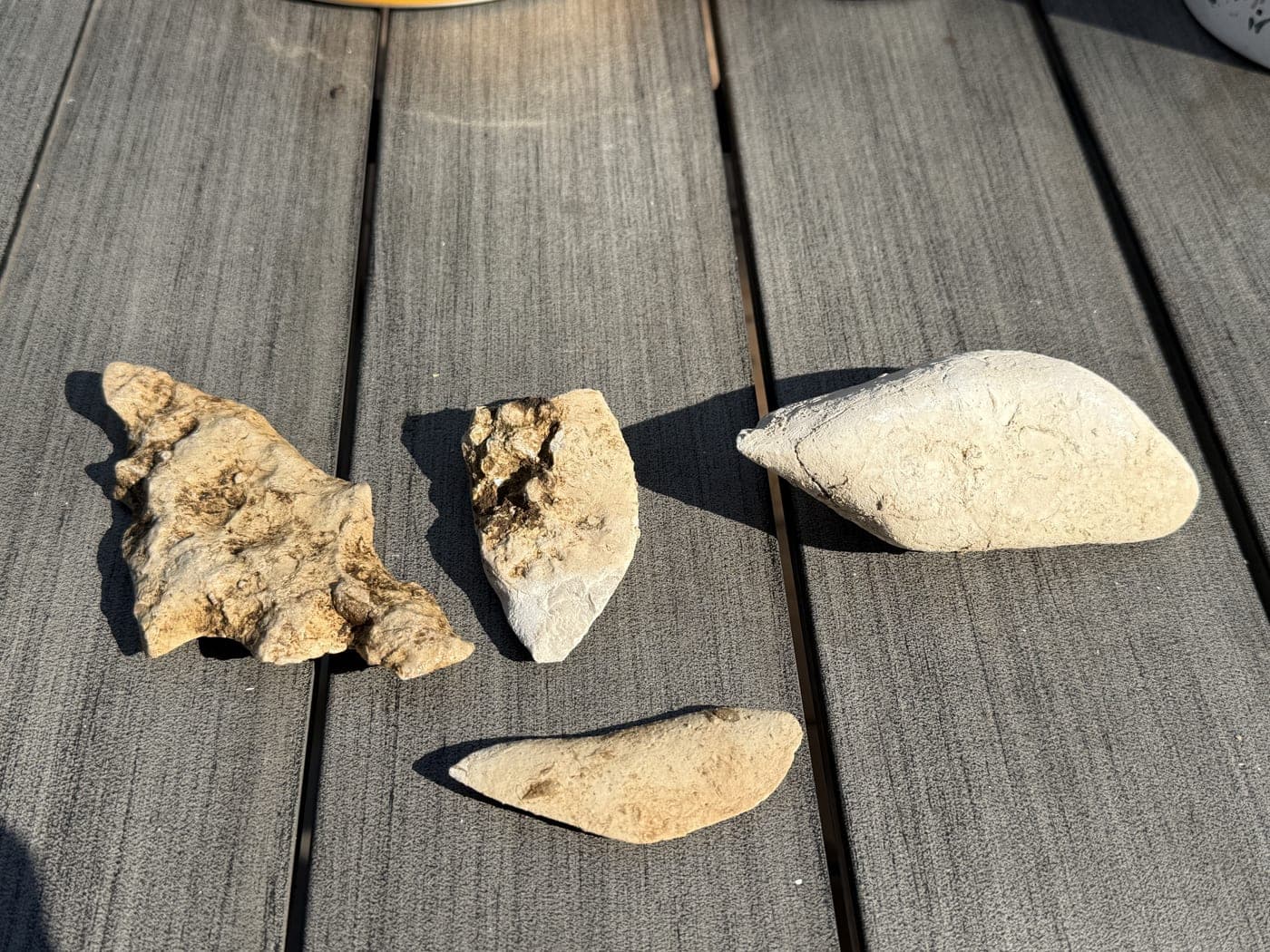 Pieces of limestone pulled from the vineyard ground, showing the bedrock fragments
